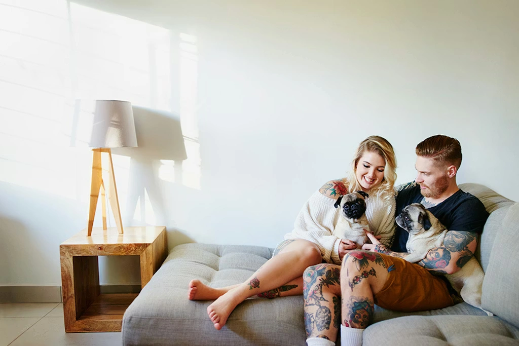 couple-in-lounge-room-with-pugs_1024x683.webp