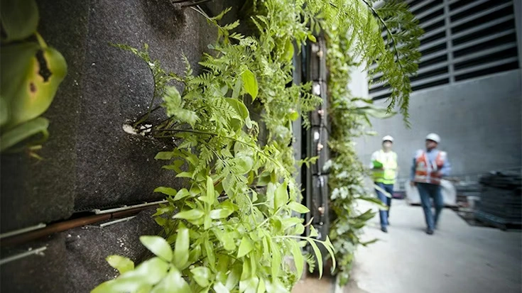 plant-wall-735x413.webp